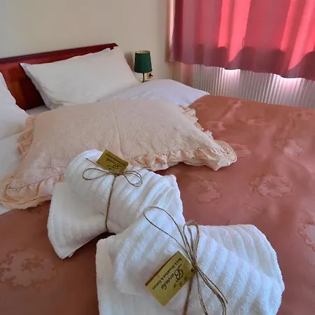 Baronka & Bistrot 3* Betliar